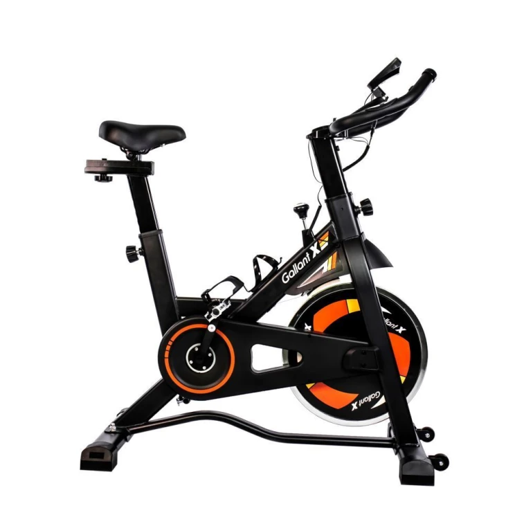 Bicicleta ergométrica Gallant Elite X 8kg